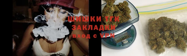 дживик Вязьма