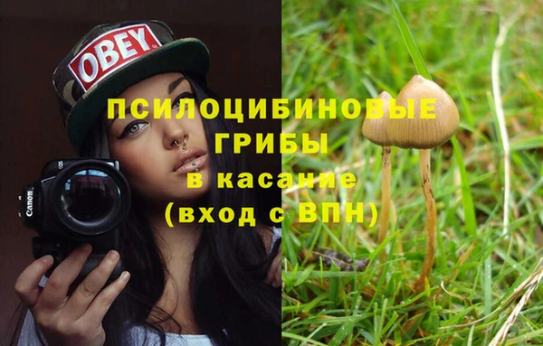 гидропоника Вяземский