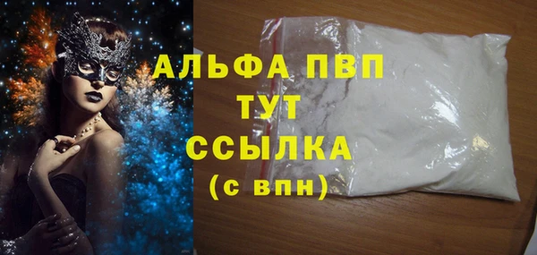 дживик Вязьма